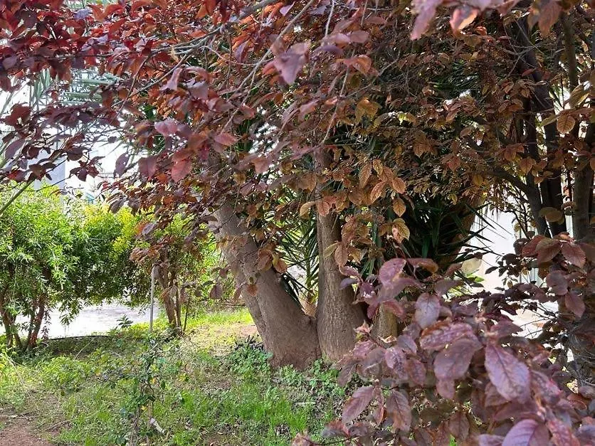 Giardino A Mare Διαμέρισμα Μπάρι