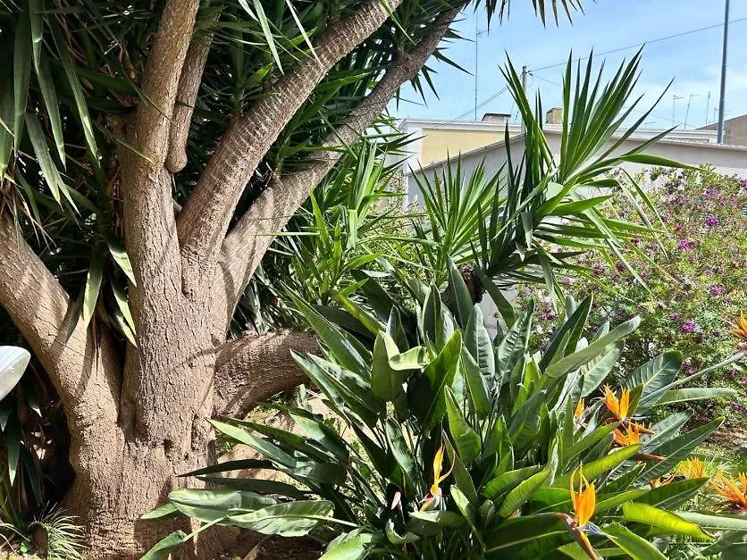 Giardino A Mare Διαμέρισμα Μπάρι
